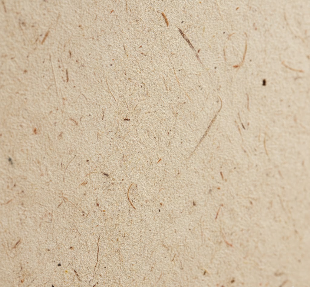 Recycled eco-friendly paper